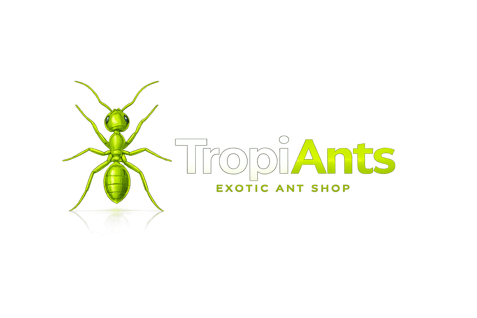 Tropi Ants